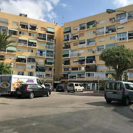 Palmeras 312