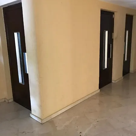 Palmeras 312