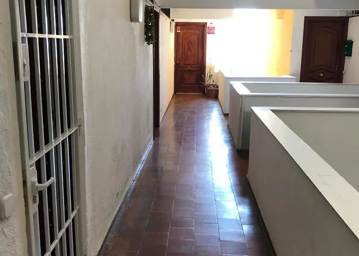Palmeras 312