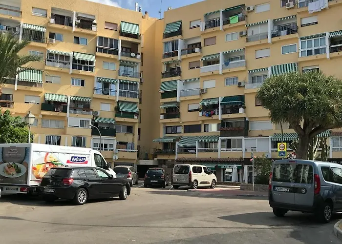 Palmeras 312