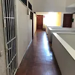 Palmeras 312