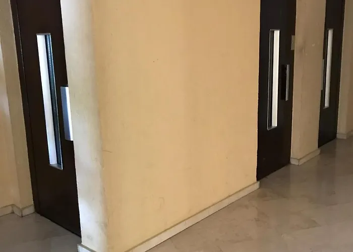 Palmeras 312
